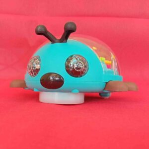 Lady Bug