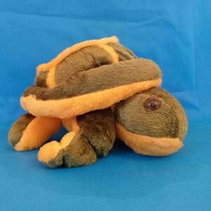 Tortoise