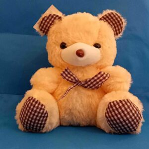 Teddy Bear S