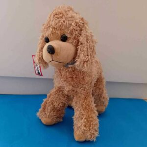 Toy Poodle M