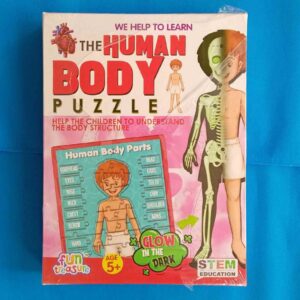 Human Body