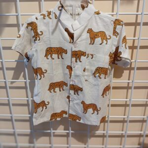 WB Boys Shirts