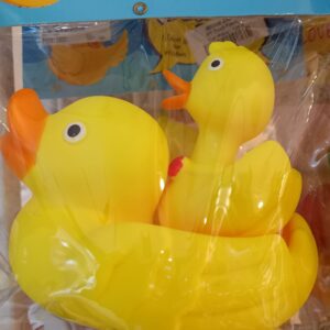 PT Duck Family