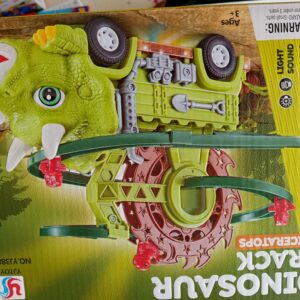 Dinausaur Track