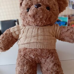 SweterTeddy
