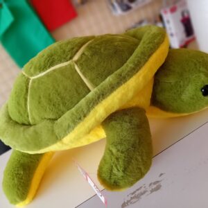 Tortoise