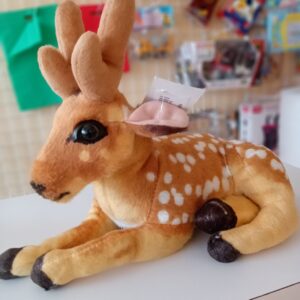 Deer